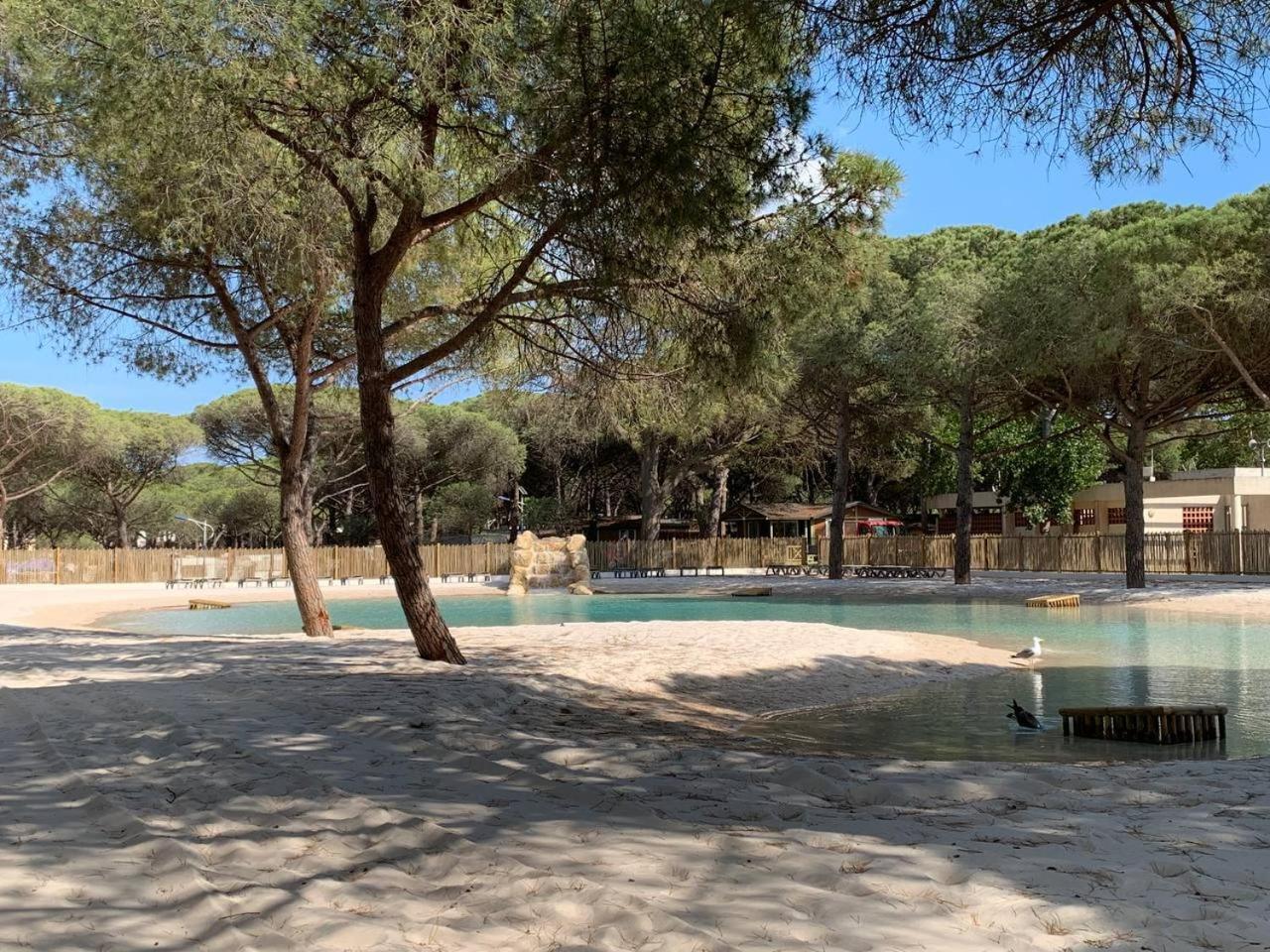 Camping La Tamarissiere Agde Ngoại thất bức ảnh
